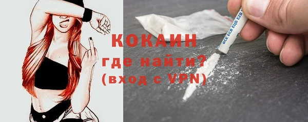 индика Армянск