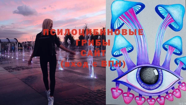 индика Армянск