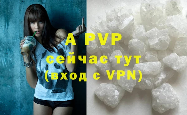 индика Армянск