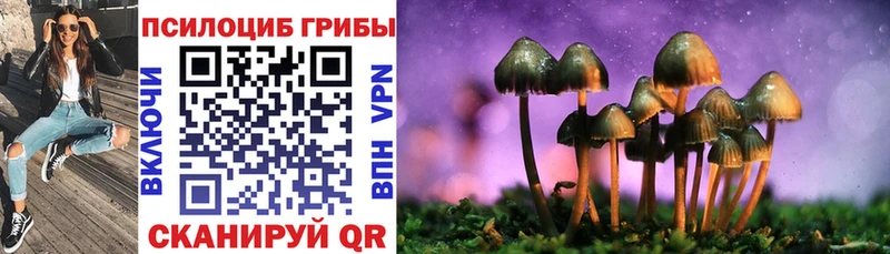 Галлюциногенные грибы Cubensis  Курильск 